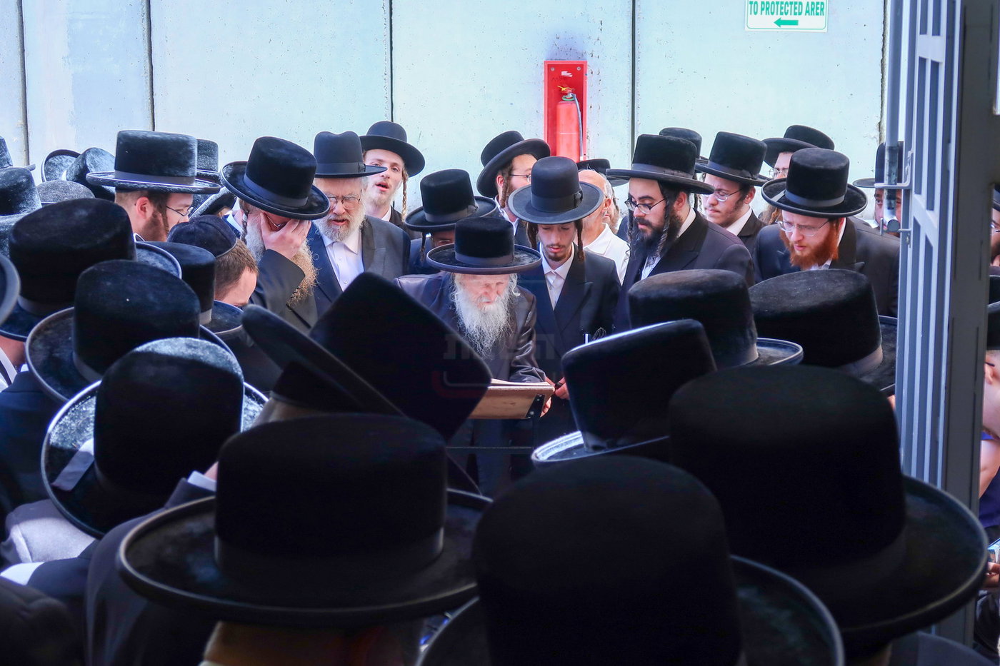 האדמו''ר מסערדאהעלי בארה"ק