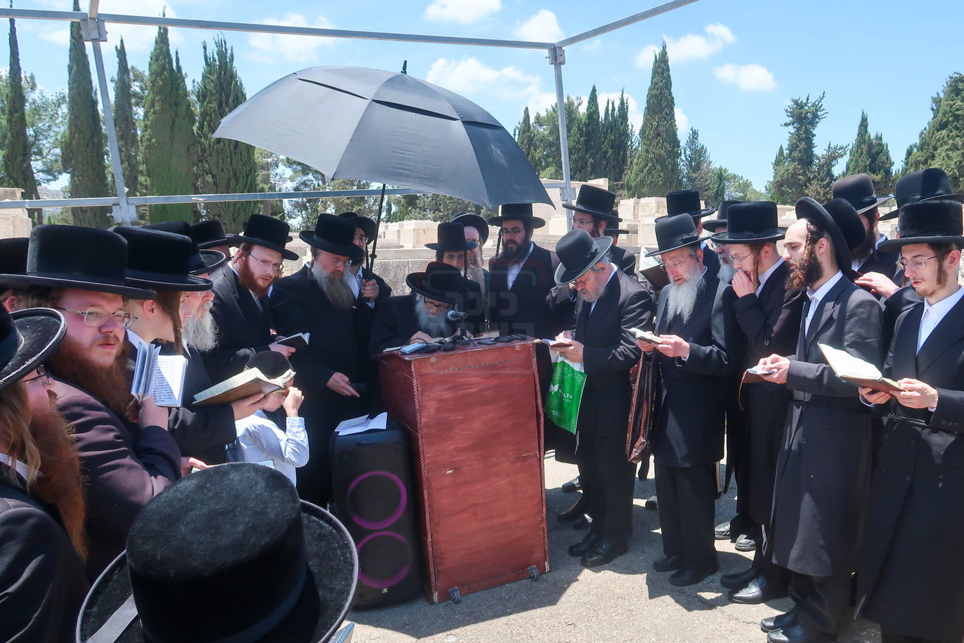 האדמו''ר מסערדאהעלי בארה"ק