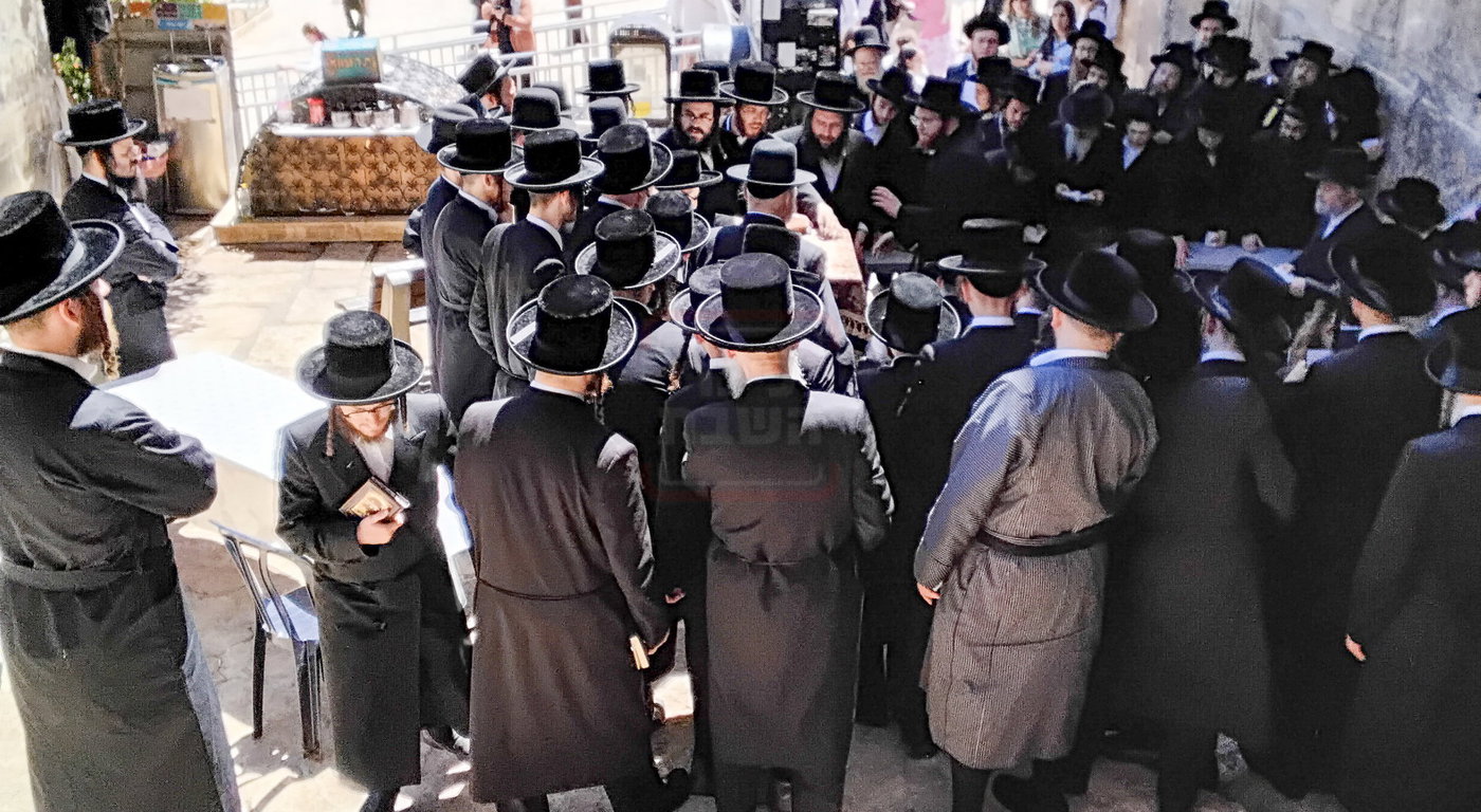 האדמו''ר מסערדאהעלי בארה"ק