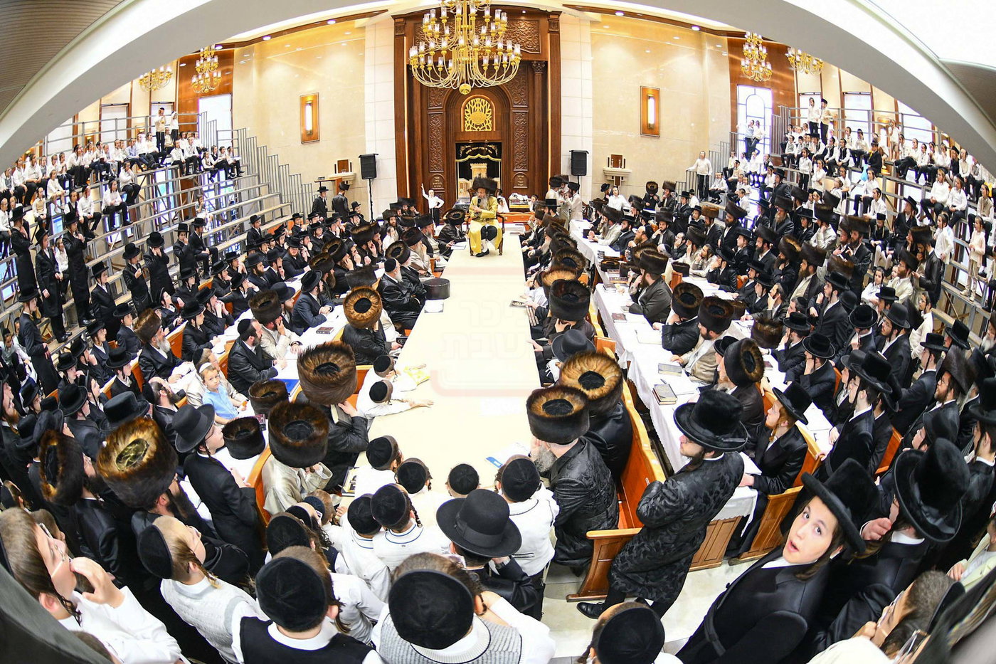 הגה"צ רבי אלימלך בידרמן בשבת בביתר