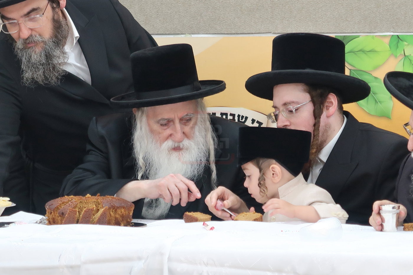 מעמד הכנסת נין האדמו"ר ממכנובקא בעלזא לת"ת