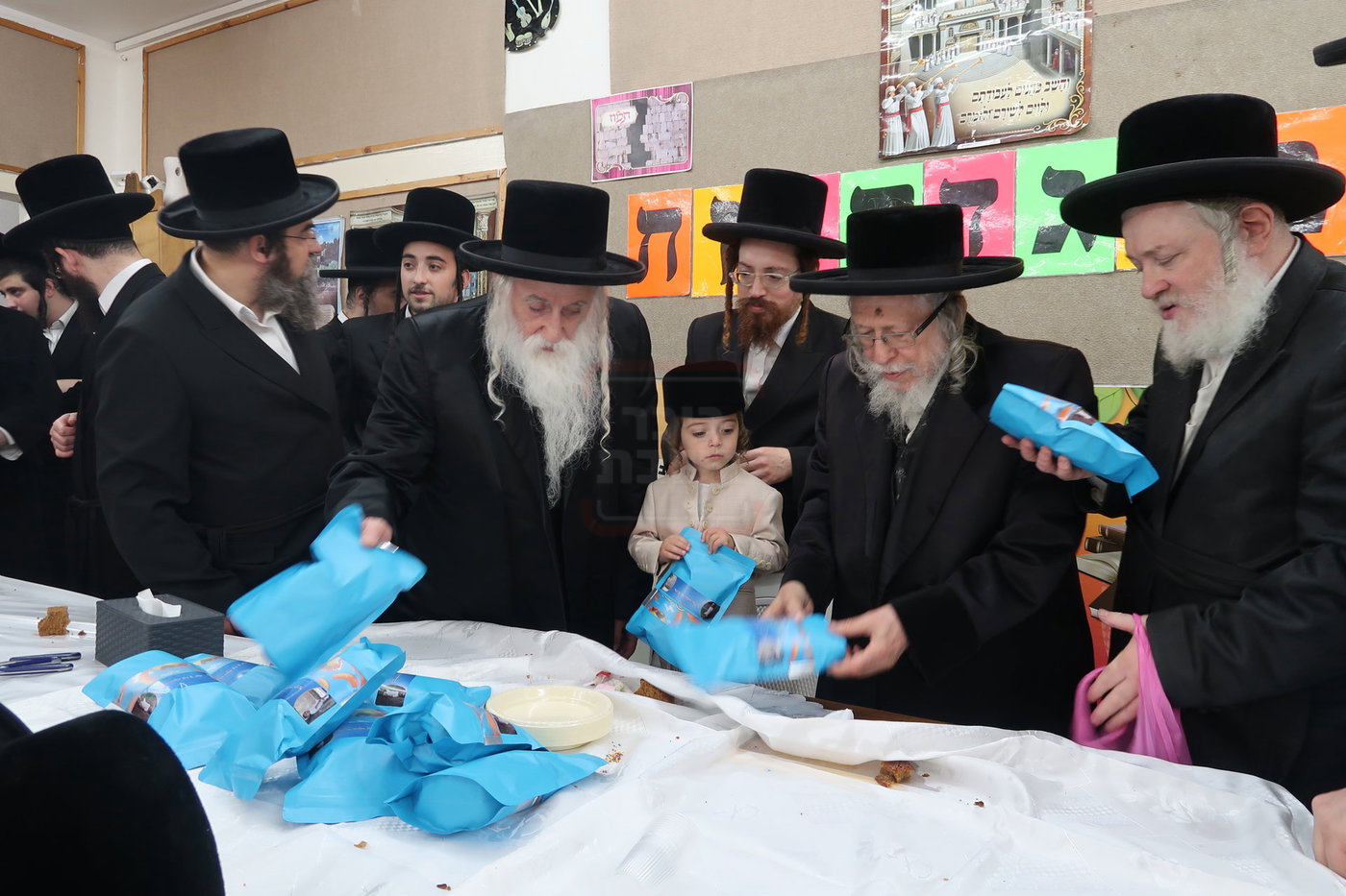 מעמד הכנסת נין האדמו"ר ממכנובקא בעלזא לת"ת