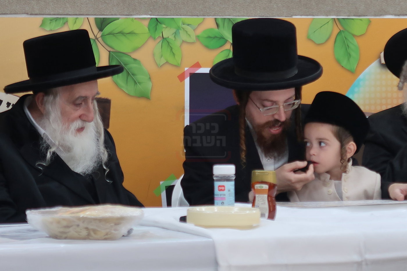 מעמד הכנסת נין האדמו"ר ממכנובקא בעלזא לת"ת