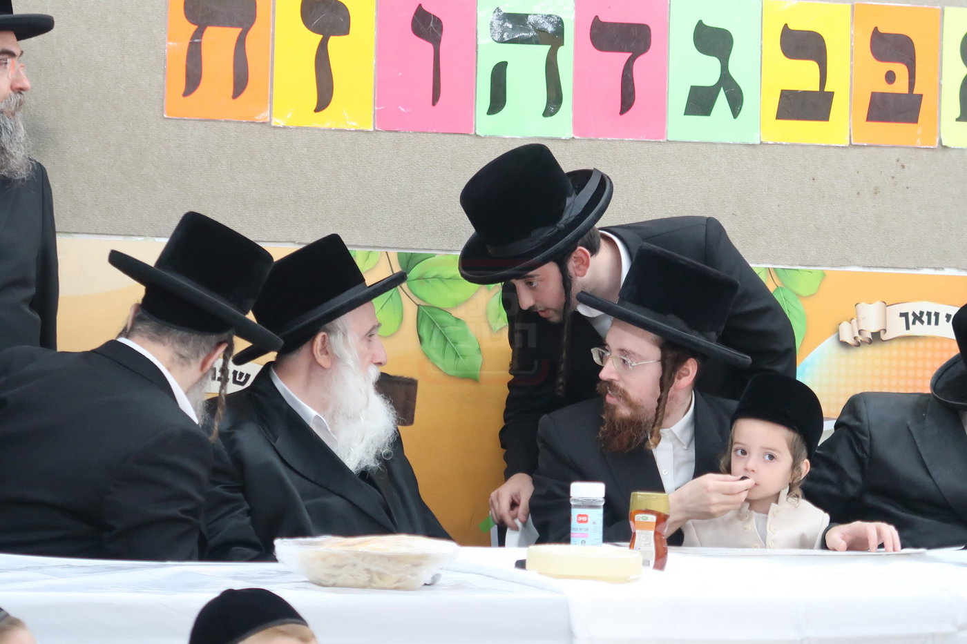מעמד הכנסת נין האדמו"ר ממכנובקא בעלזא לת"ת
