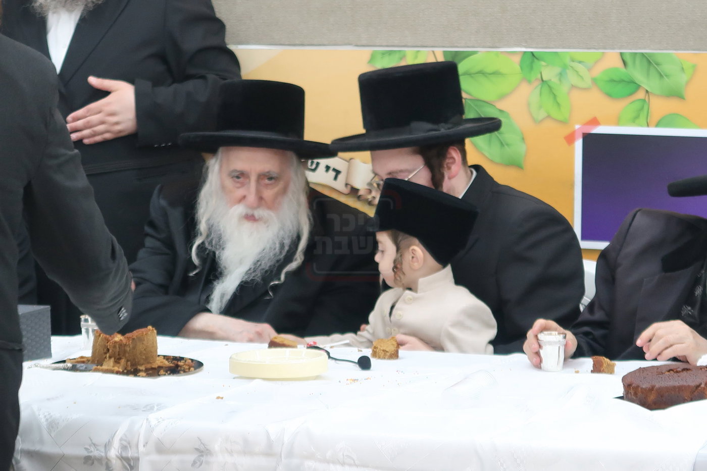 מעמד הכנסת נין האדמו"ר ממכנובקא בעלזא לת"ת