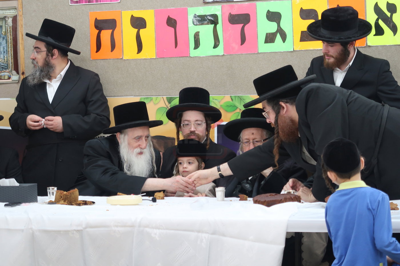 מעמד הכנסת נין האדמו"ר ממכנובקא בעלזא לת"ת