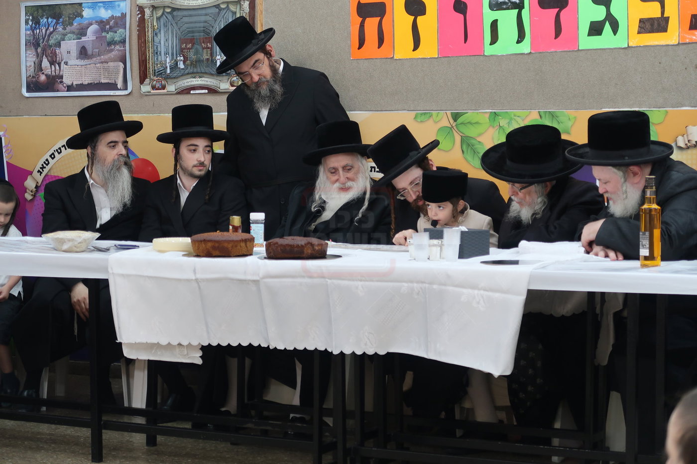 מעמד הכנסת נין האדמו"ר ממכנובקא בעלזא לת"ת