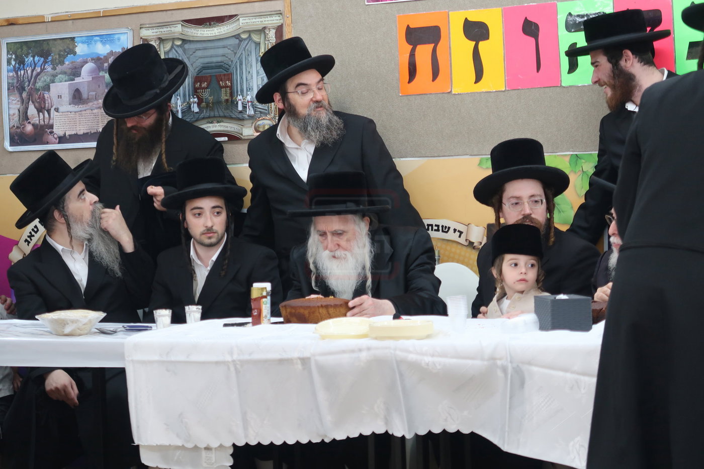 מעמד הכנסת נין האדמו"ר ממכנובקא בעלזא לת"ת
