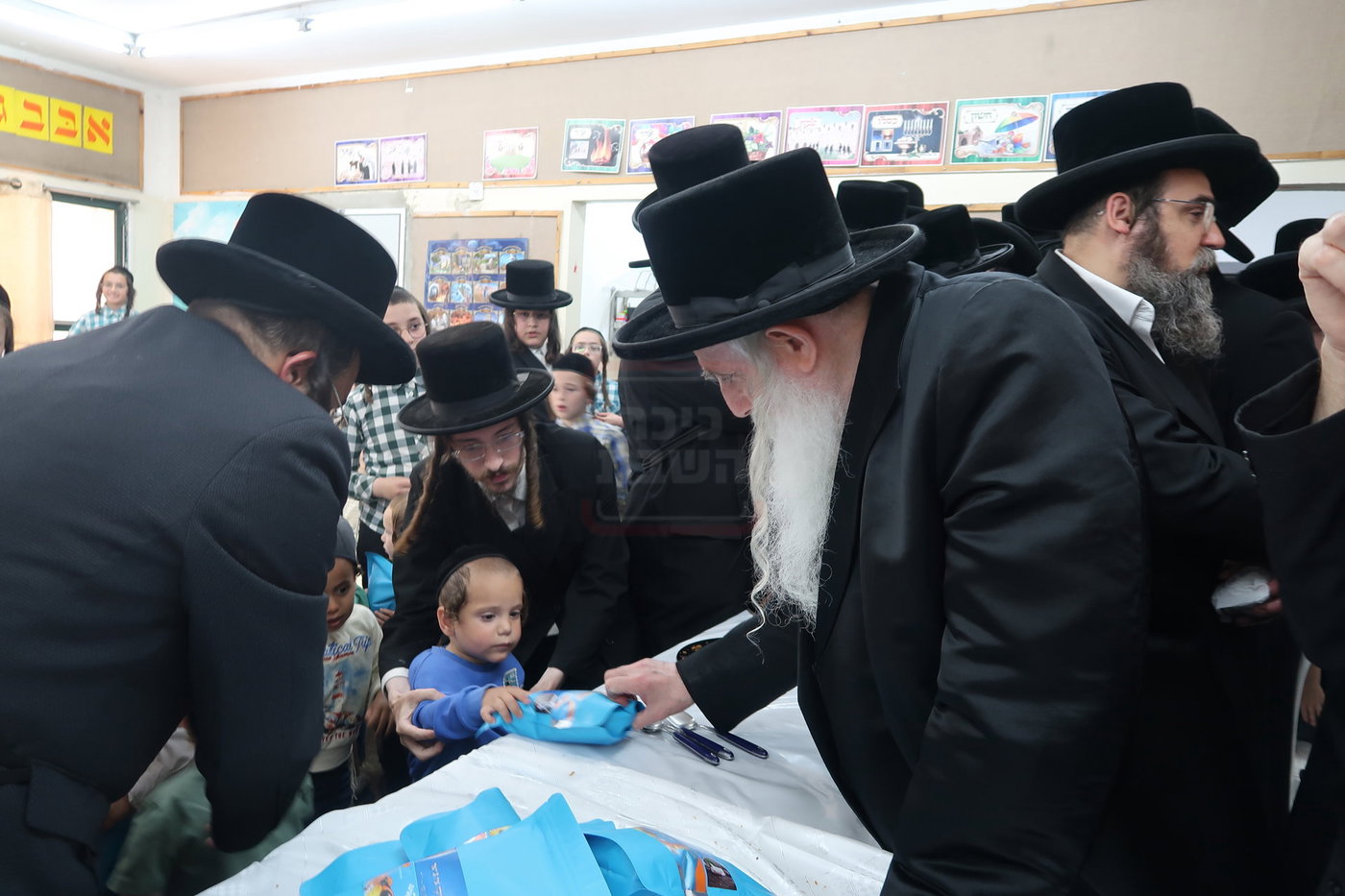 מעמד הכנסת נין האדמו"ר ממכנובקא בעלזא לת"ת