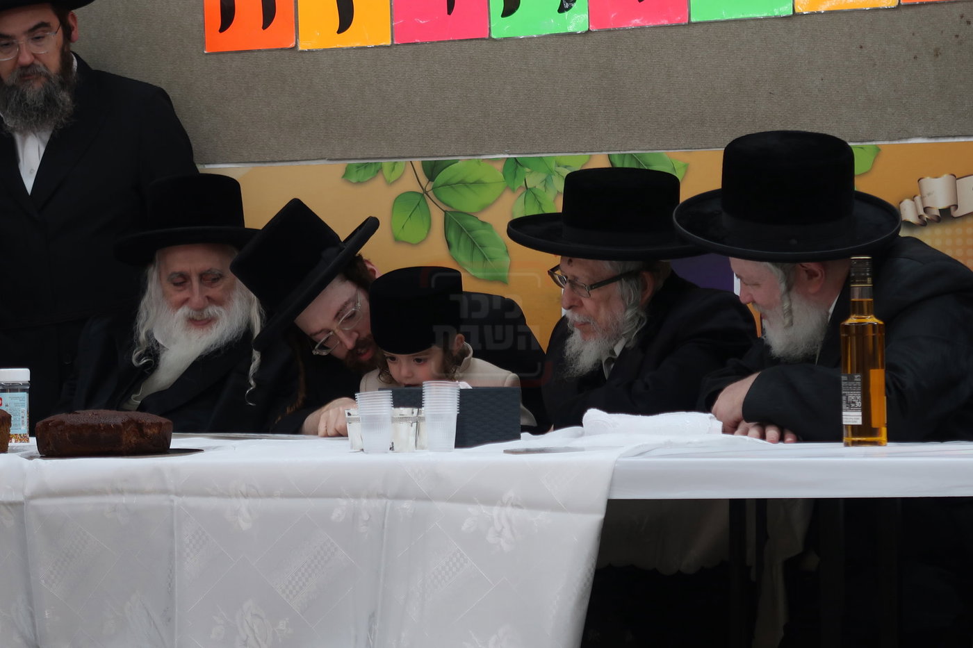 מעמד הכנסת נין האדמו"ר ממכנובקא בעלזא לת"ת