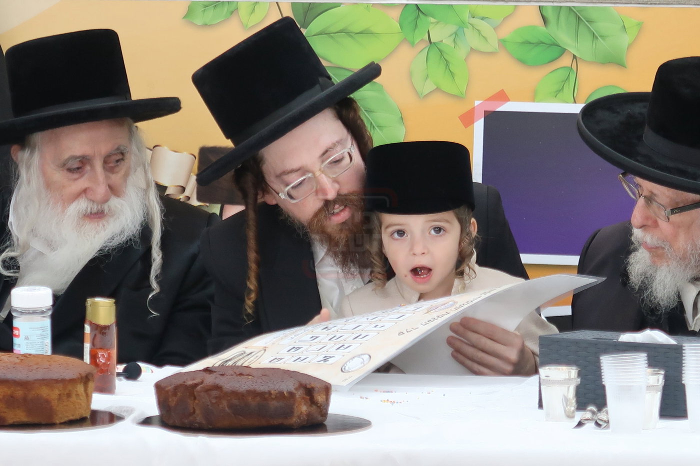 מעמד הכנסת נין האדמו"ר ממכנובקא בעלזא לת"ת