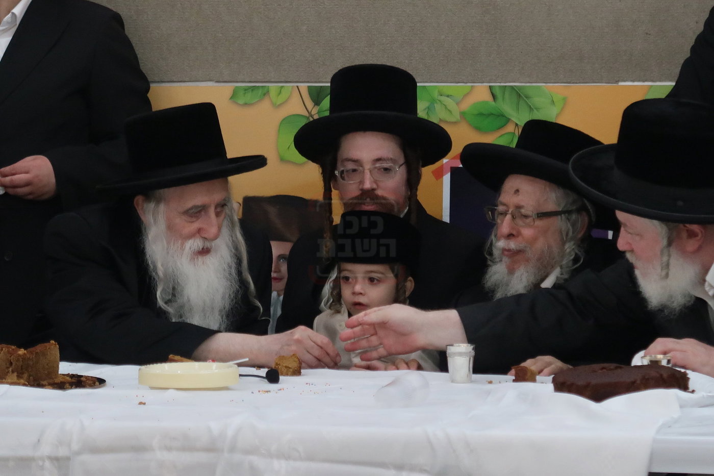מעמד הכנסת נין האדמו"ר ממכנובקא בעלזא לת"ת