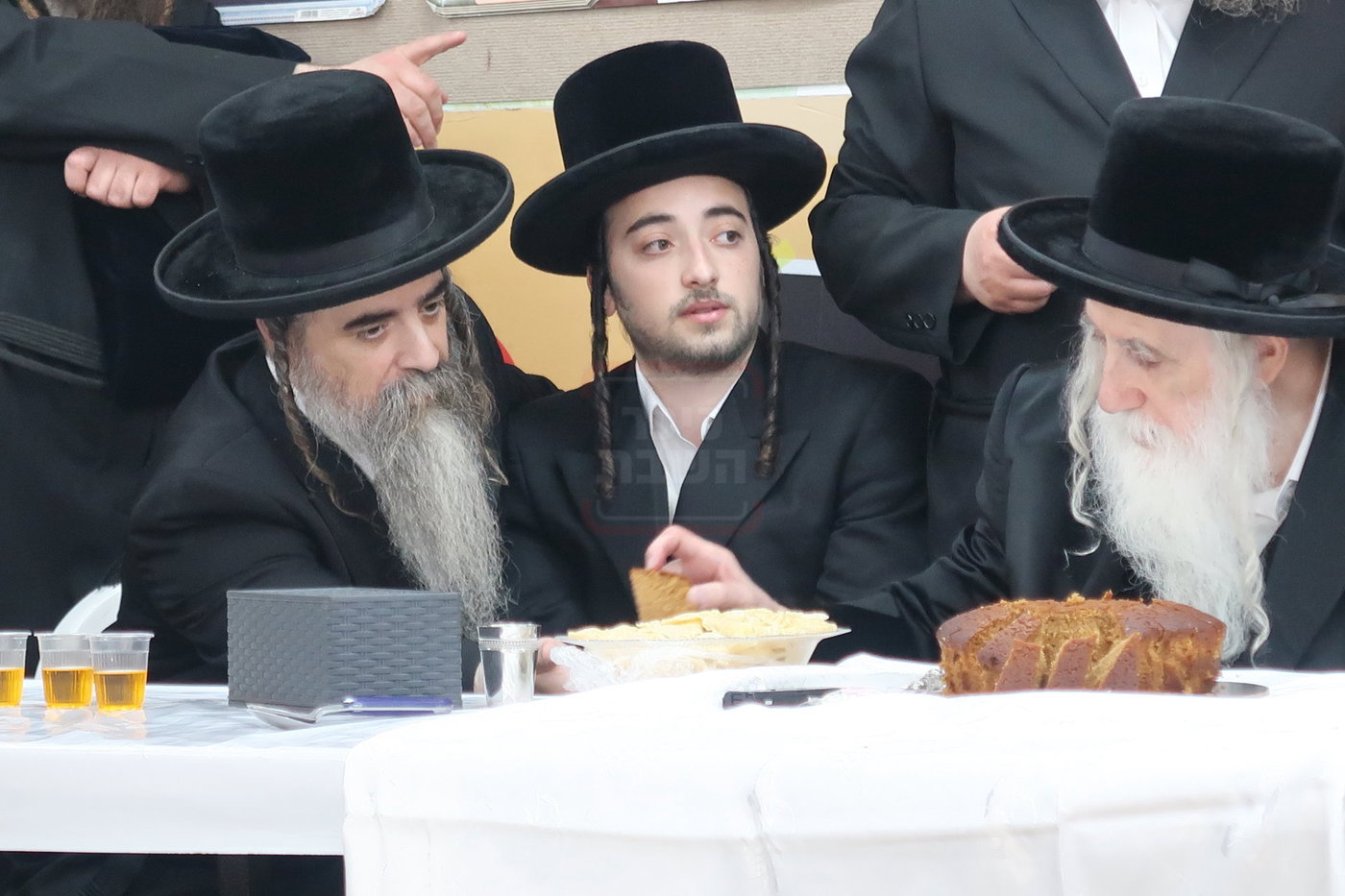מעמד הכנסת נין האדמו"ר ממכנובקא בעלזא לת"ת