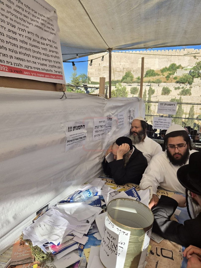הנכד, הנייעס והסערה שבדרך | 'זופניק בכיכר' עם כל התמונות, הנייעס והחשיפות של השבוע