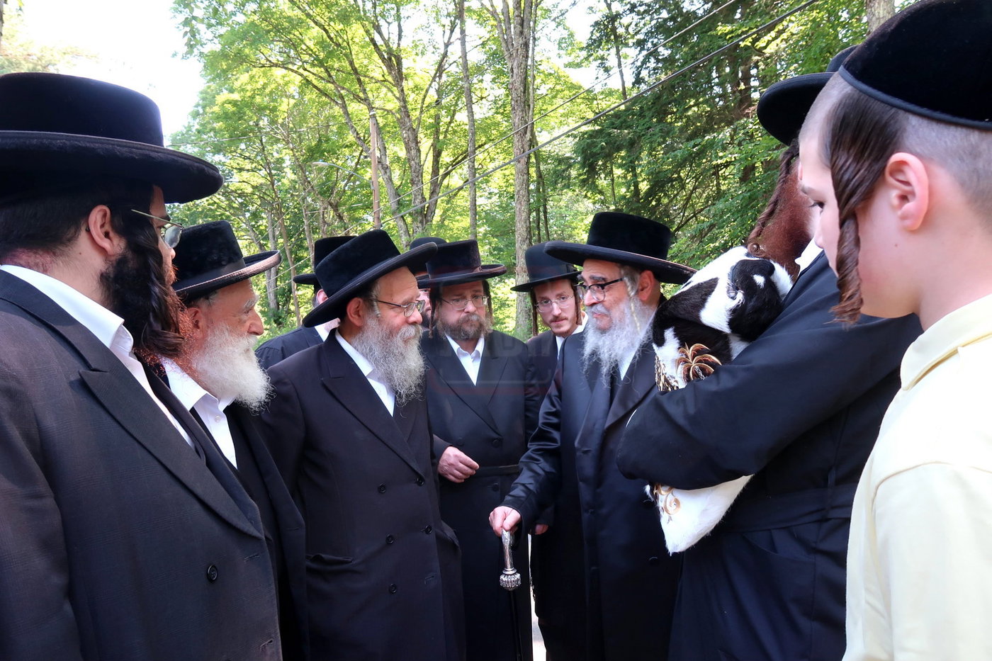 האדמו"ר מסאטמר במנוחה בניו העמפשיר