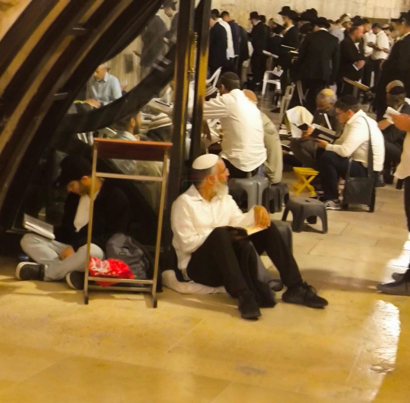 'זופניק בכיכר' עם כל התמונות, הנייעס והחשיפות של השבוע
