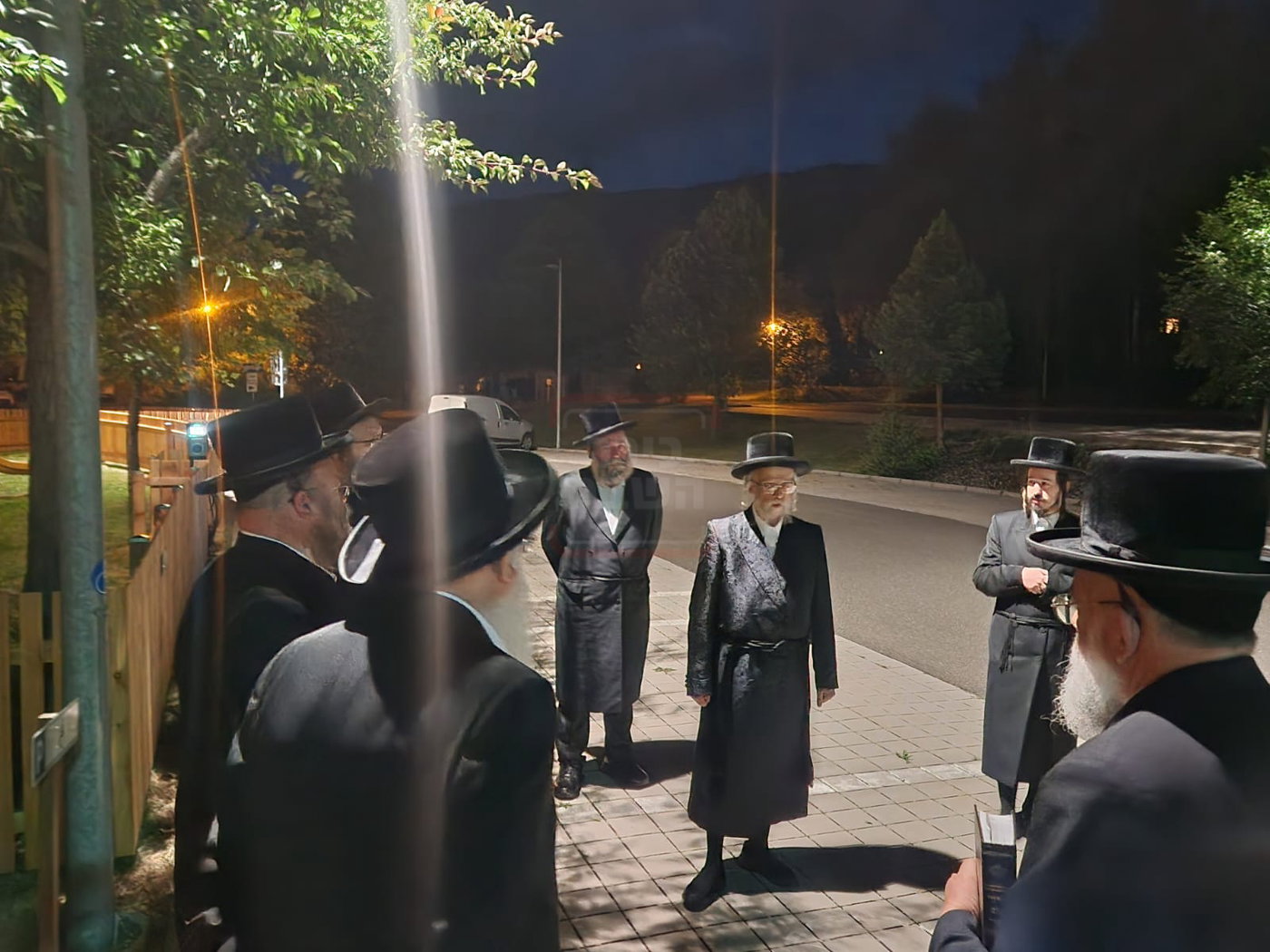 האדמו"ר מסערט ויז'ניץ בנאות דשא באוסטריה