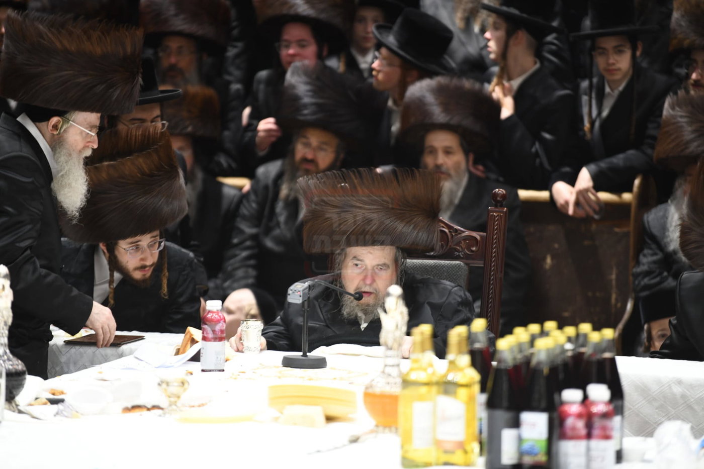 שמחת הברית בחצה"ק בעלזא