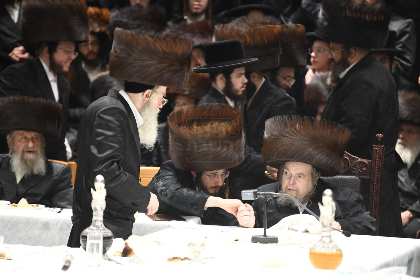 שמחת הברית בחצה"ק בעלזא