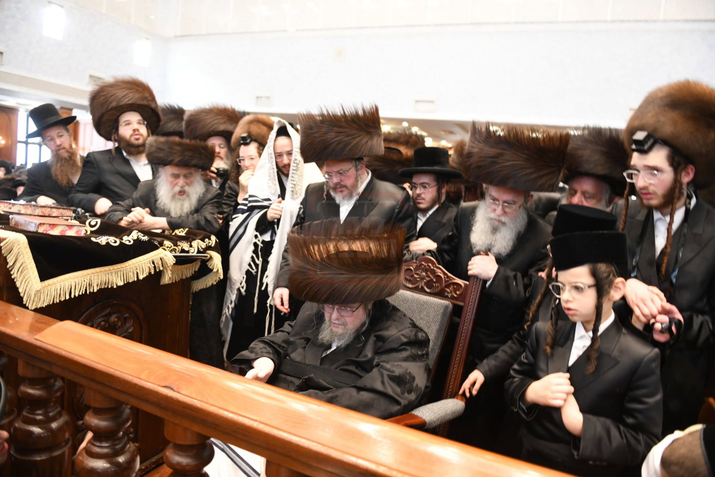 שמחת הברית בחצה"ק בעלזא
