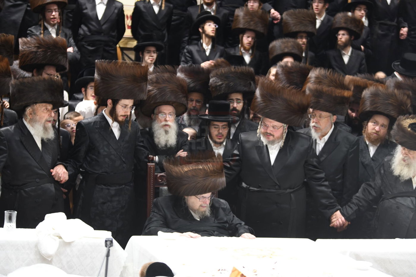 שמחת הברית בחצה"ק בעלזא