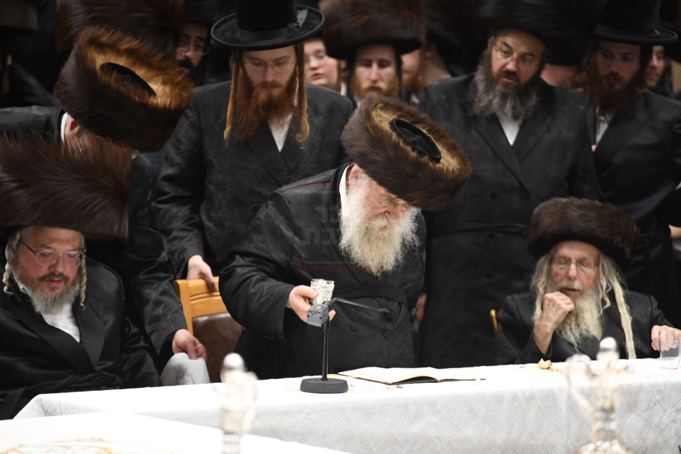 שמחת הברית בחצה"ק בעלזא