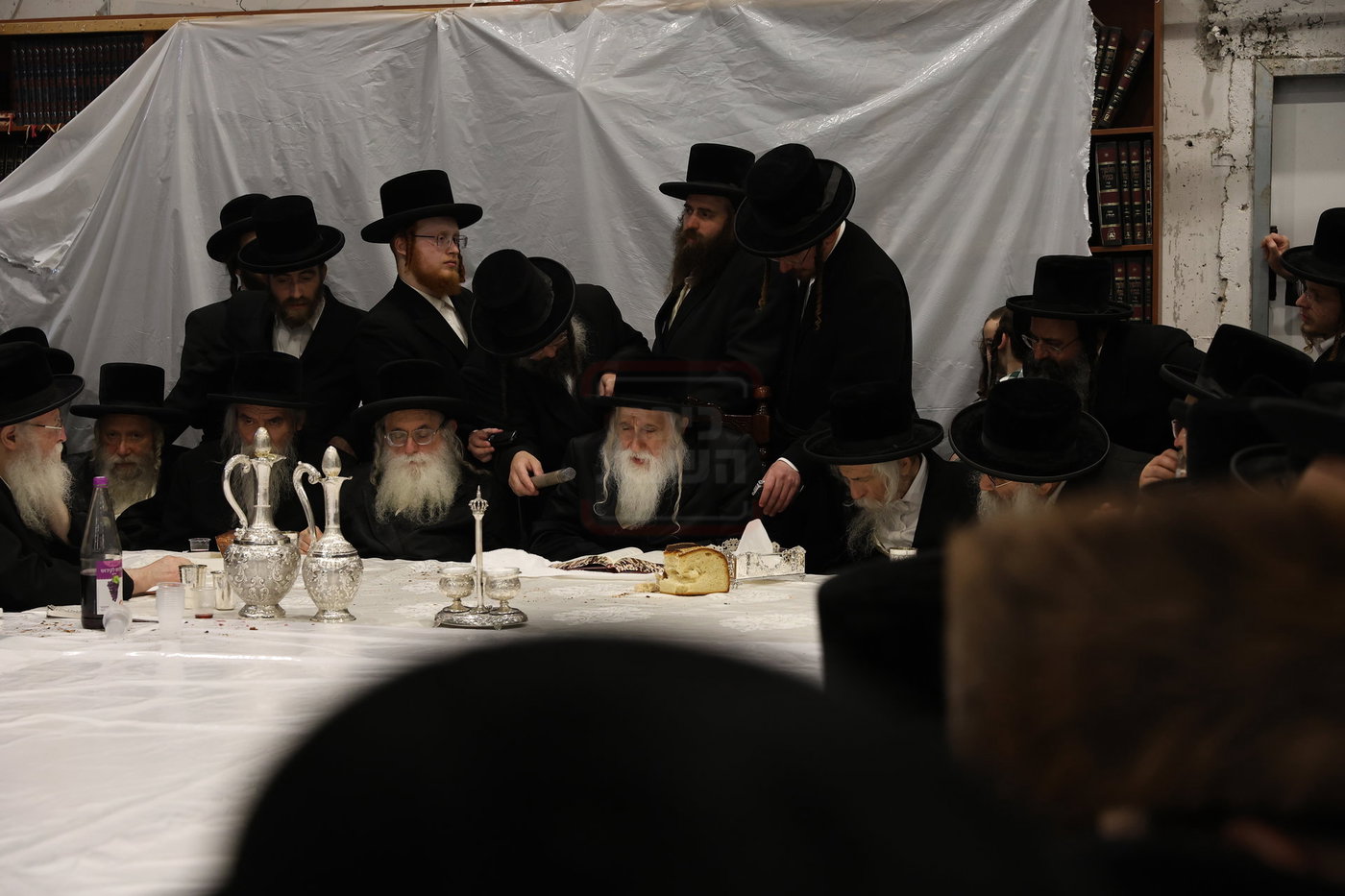 הילולא קדישא במחנובקא בעלזא