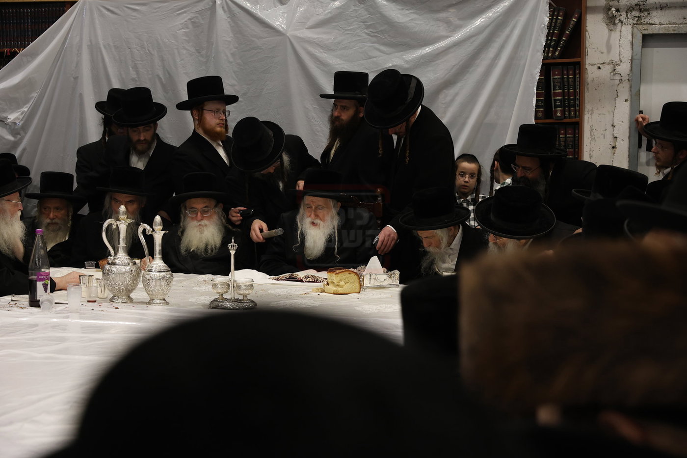 הילולא קדישא במחנובקא בעלזא