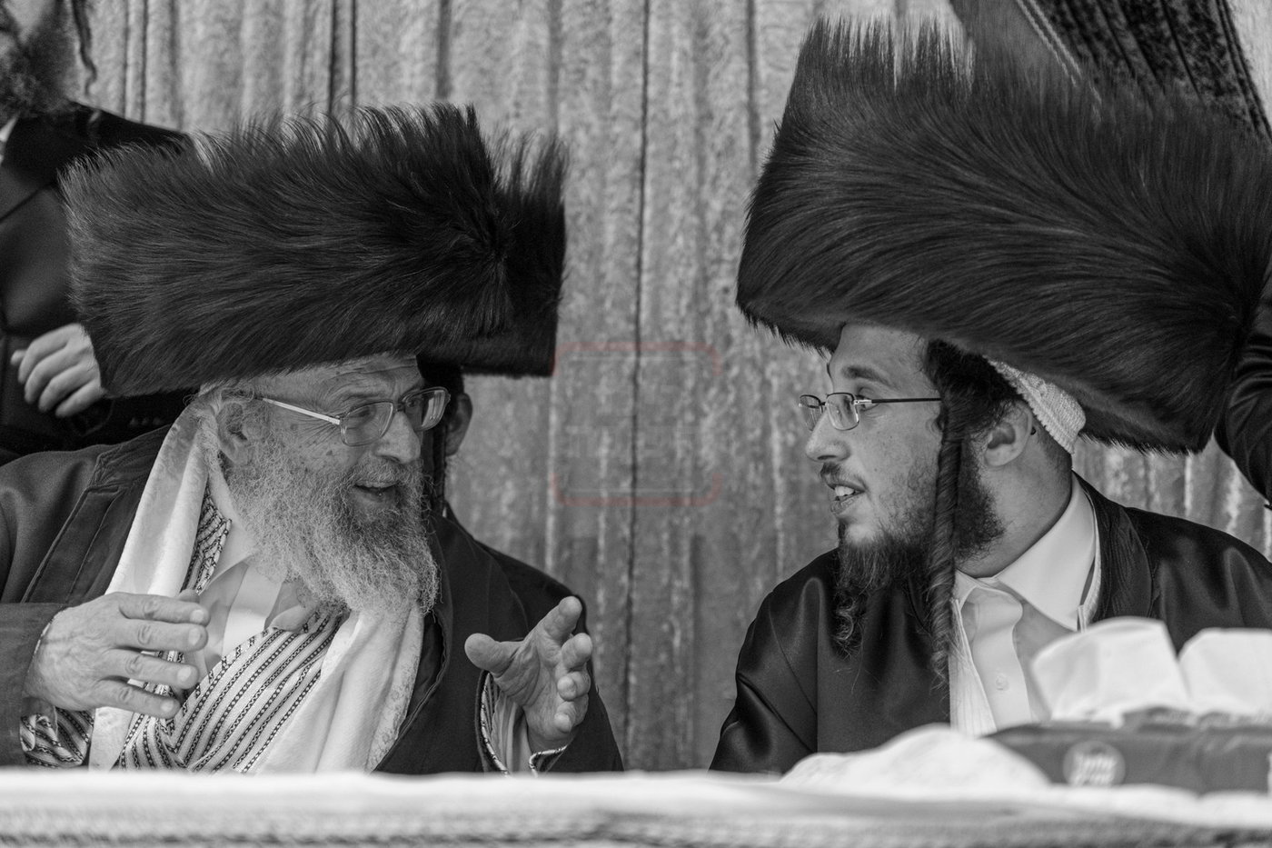 שמחת בית פינסק קרלין - לעלוב - סטראפקוב - ראדומישלא