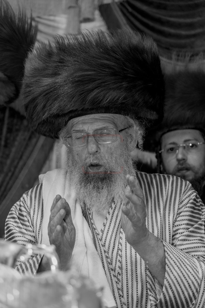 שמחת בית פינסק קרלין - לעלוב - סטראפקוב - ראדומישלא