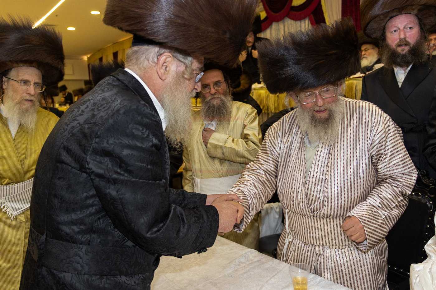 שמחת בית פינסק קרלין - לעלוב - סטראפקוב - ראדומישלא