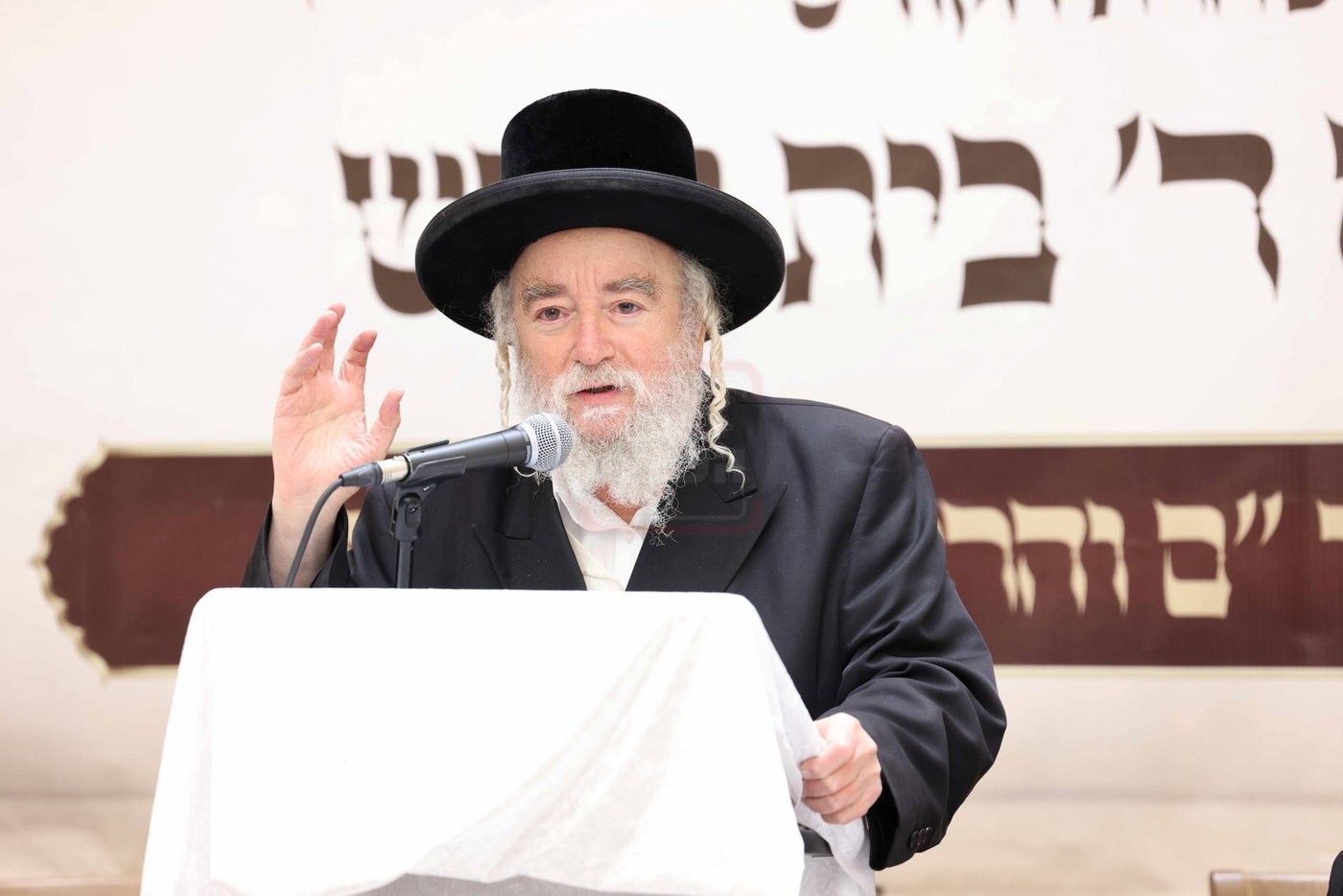 כינוס היסוד לת"ת על טהרת הקודש ברמה ד' בבית שמש
