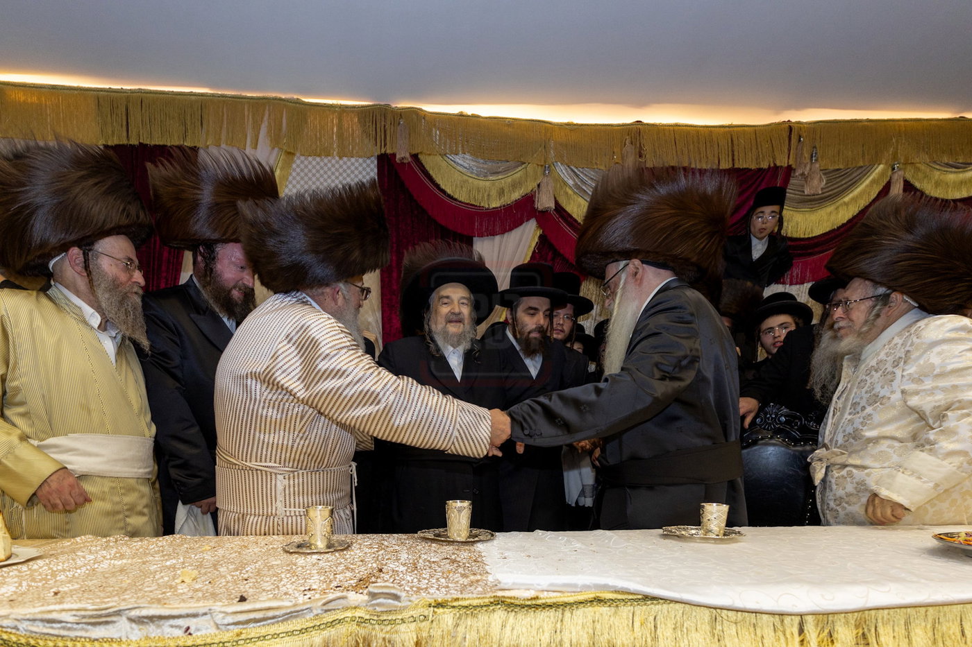 שמחת בית פינסק קרלין - לעלוב - סטראפקוב - ראדומישלא
