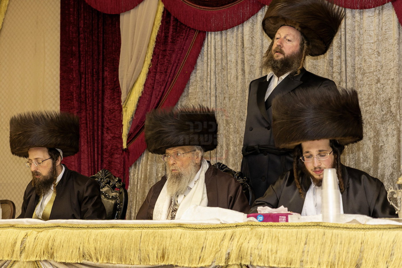 שמחת בית פינסק קרלין - לעלוב - סטראפקוב - ראדומישלא