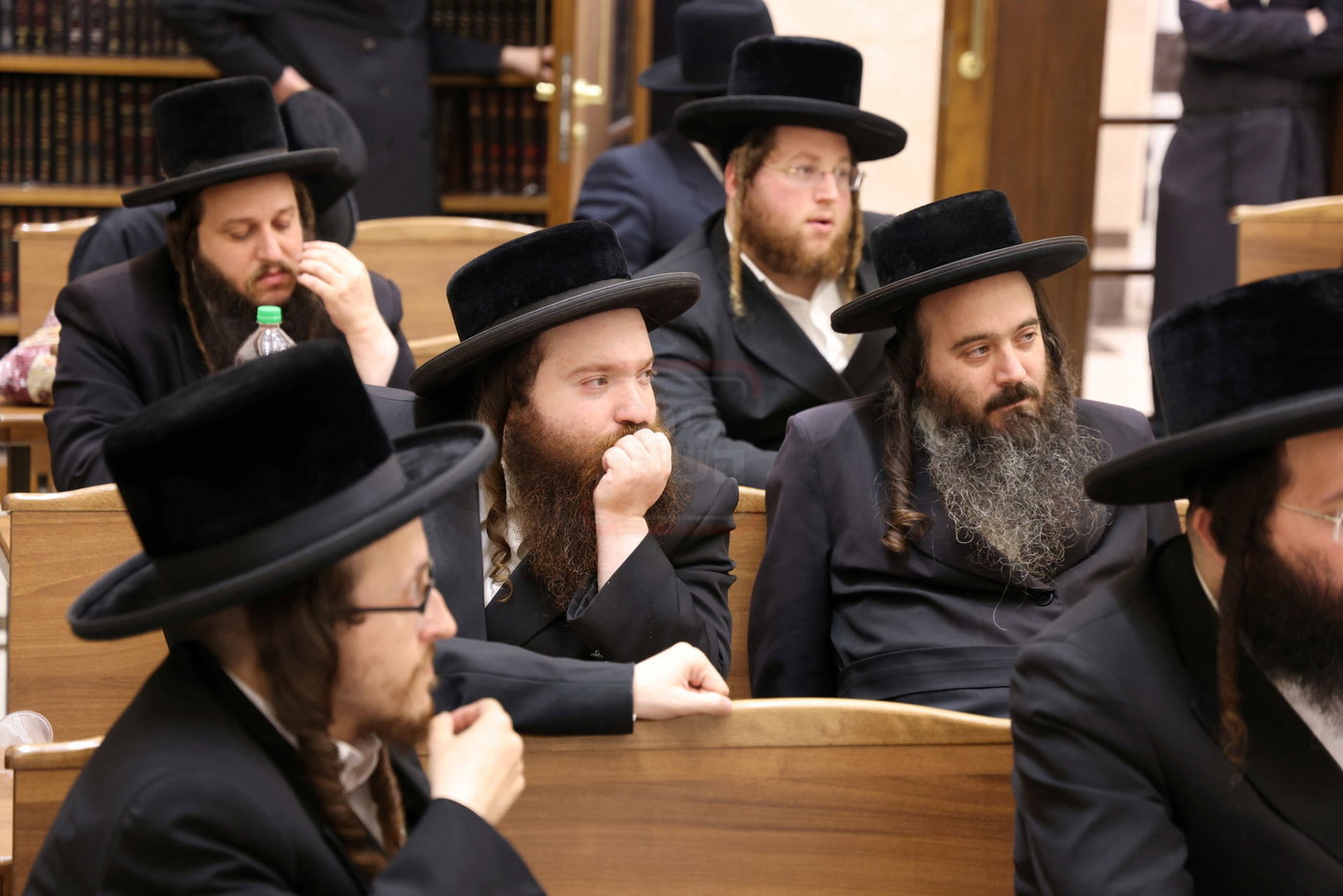 כינוס היסוד לת"ת על טהרת הקודש ברמה ד' בבית שמש