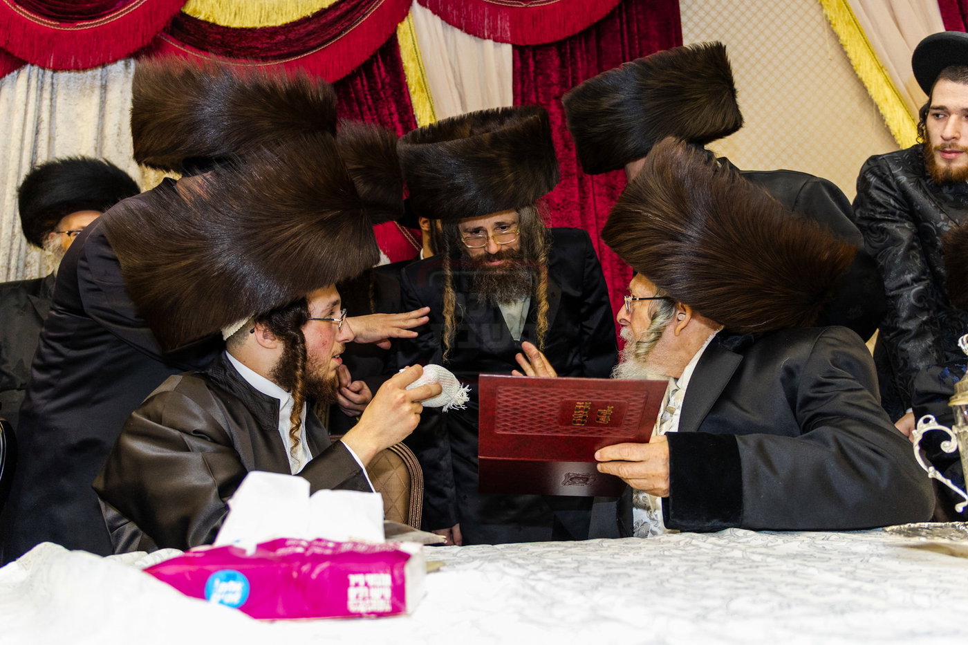 שמחת בית פינסק קרלין - לעלוב - סטראפקוב - ראדומישלא
