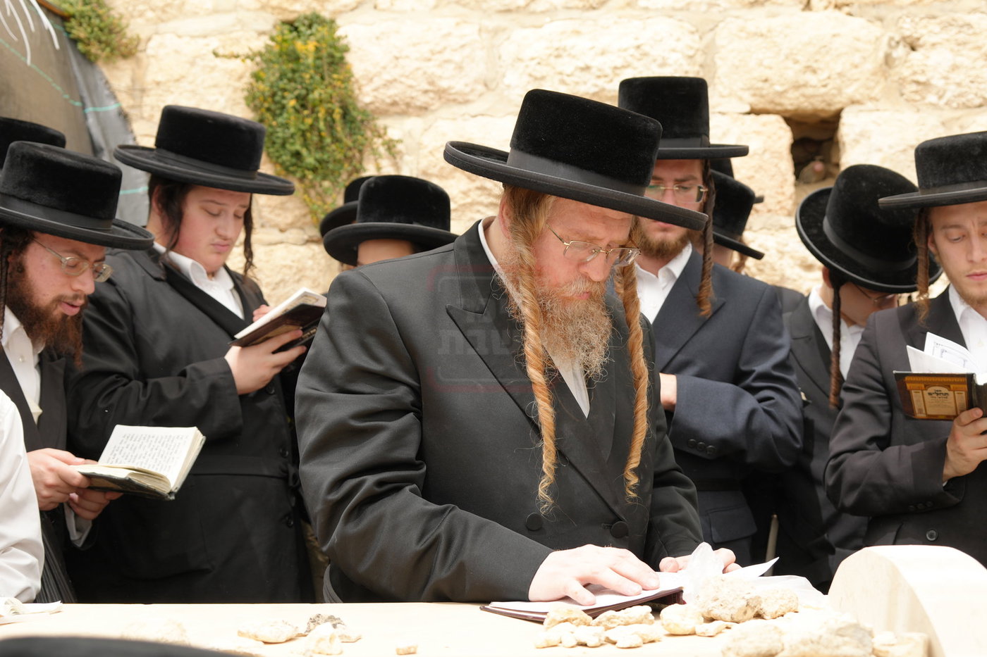 הילולא קדישא בשומרי אמונים