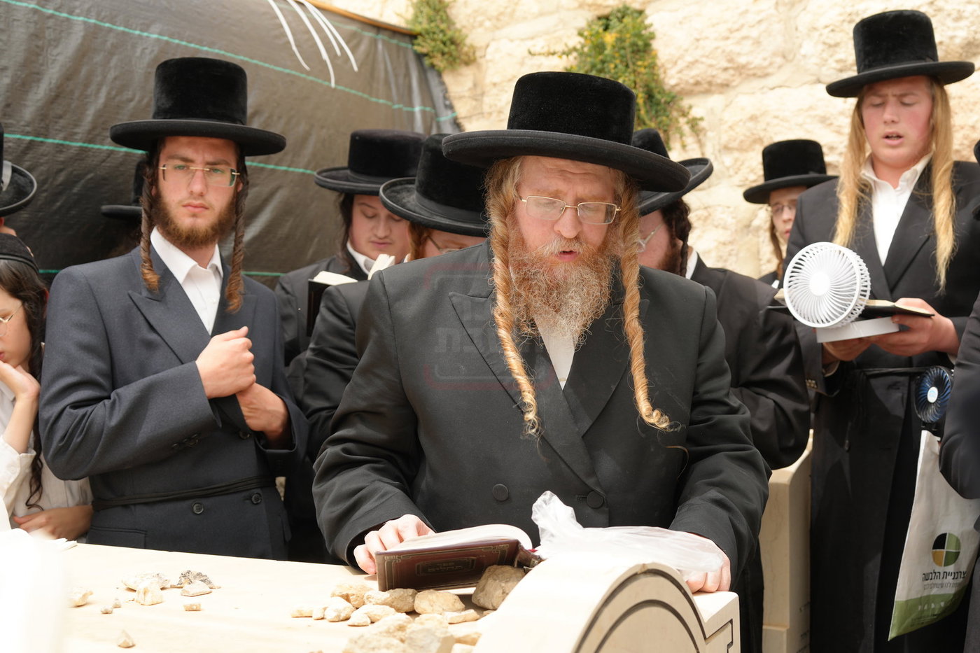 הילולא קדישא בשומרי אמונים