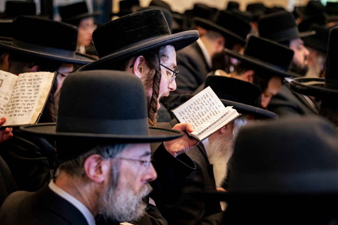 הילולא קדישא בטאהש