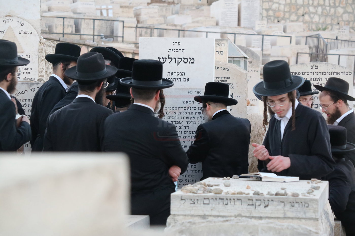 האדמו"ר מסקולען לייקווד בביקור בארה"ק