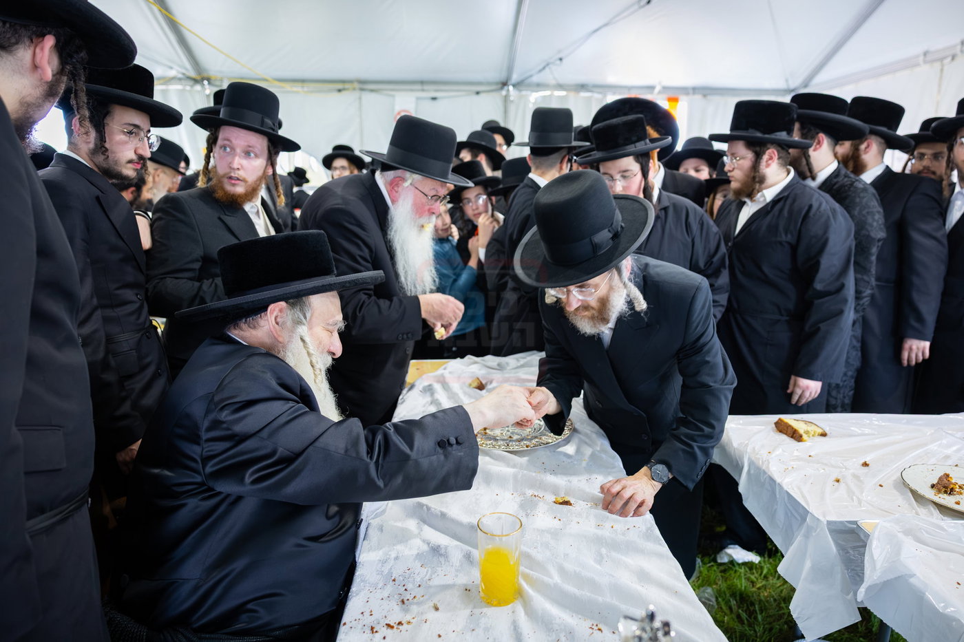 הילולא קדישא בקראלי