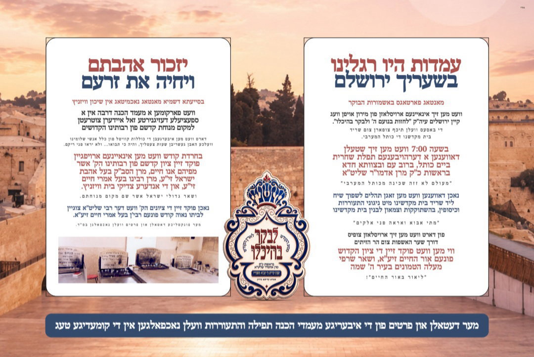 התרגשות במונסי; האדמו"ר ימריא לישראל עם שני מטוסי ענק של מאות בחורים
