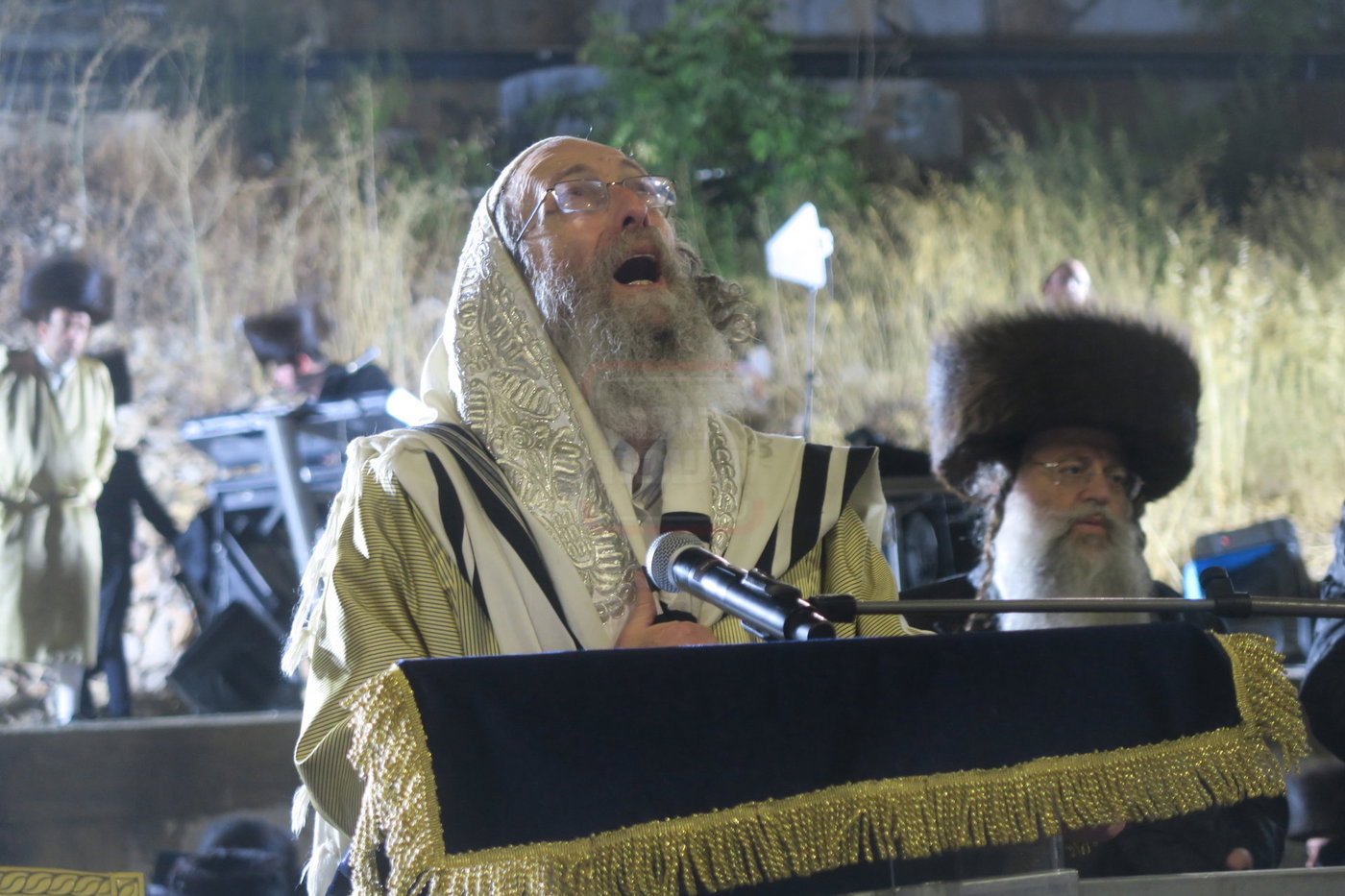 הרה"צ רבי אלימלך בידרמן באמירת הסליחות