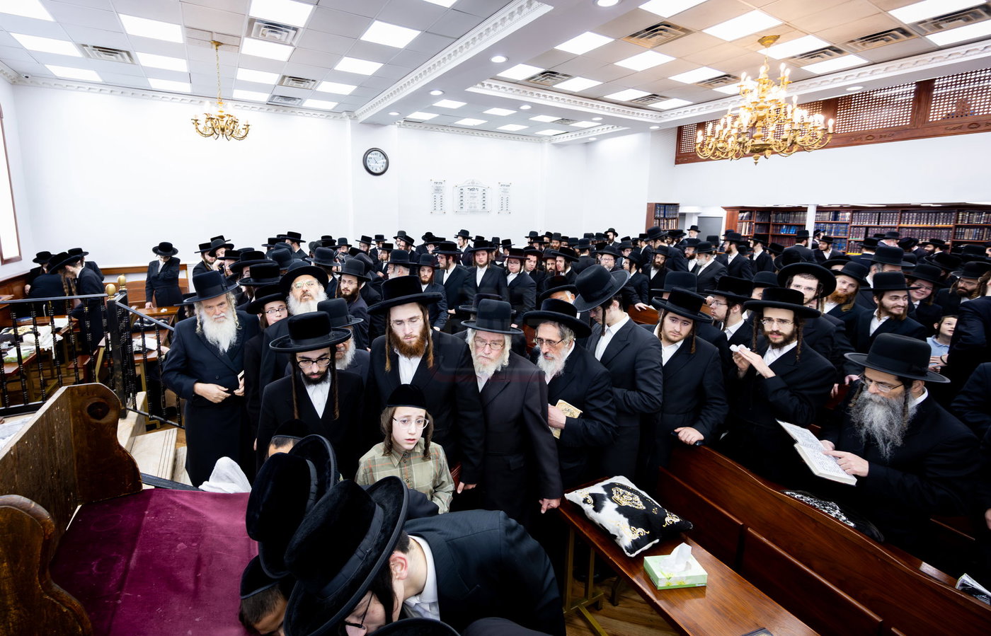 סליחות ראשונות בחצ"ק תולדות צבי ד'ספינקא