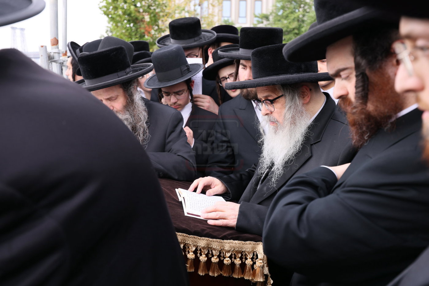 האדמו"ר מסאטמר בתשליך