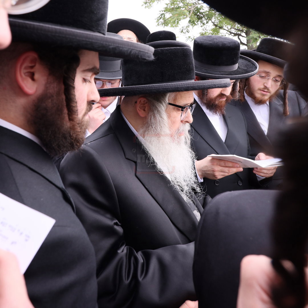 האדמו"ר מסאטמר בתשליך
