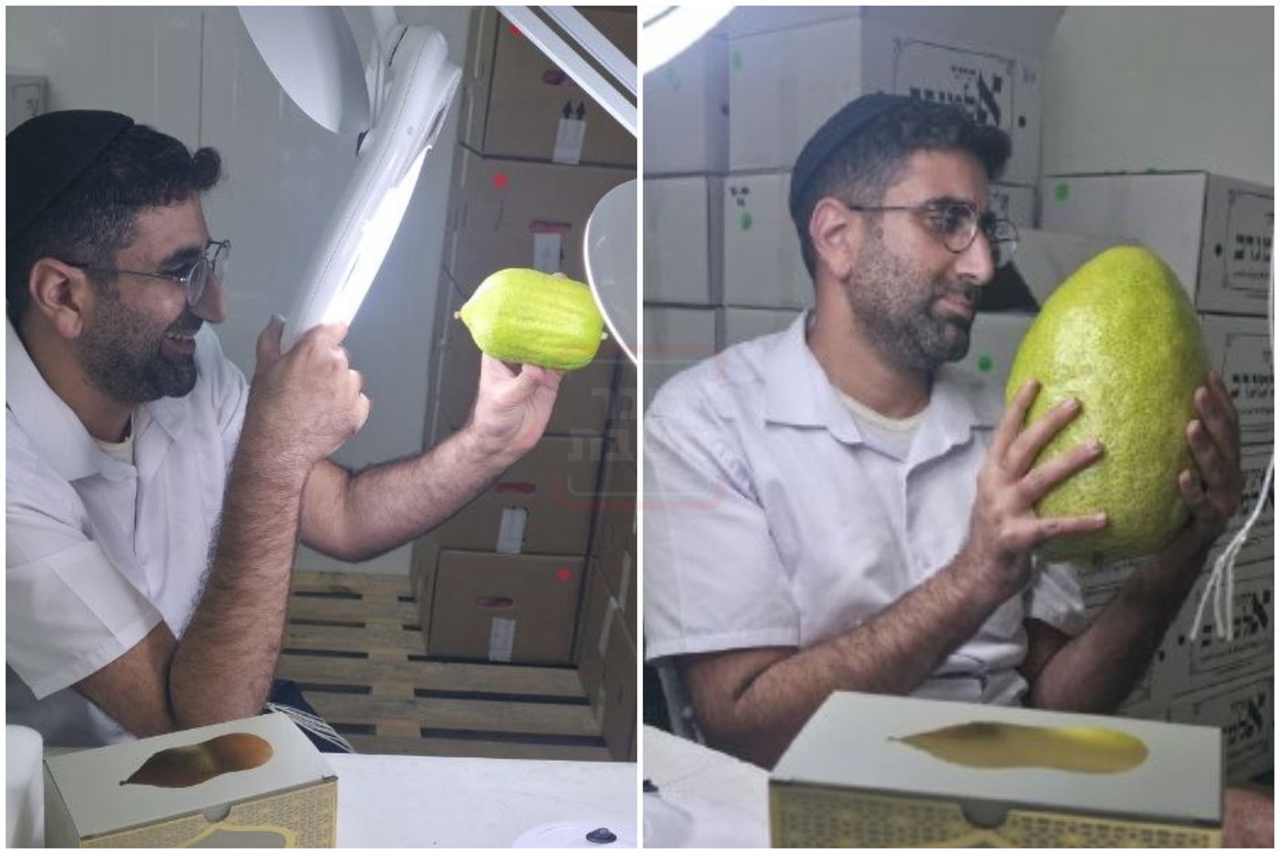 הבית נשרף, יועץ התקשורת ניצל | 'זופניק בכיכר' עם כל התמונות, הנייעס והחשיפות של השבוע
