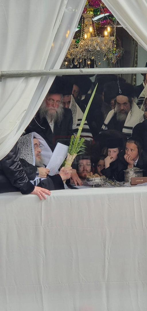 האדמו"ר מויז'ניץ בנענועים בחוה"מ סוכות