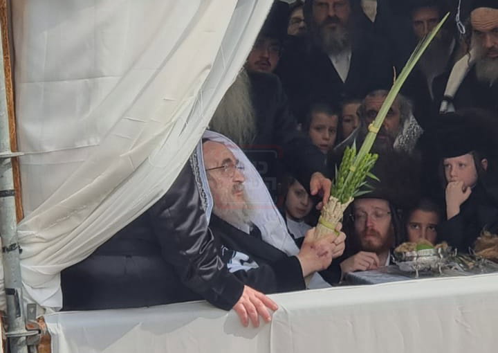 האדמו"ר מויז'ניץ בנענועים בחוה"מ סוכות