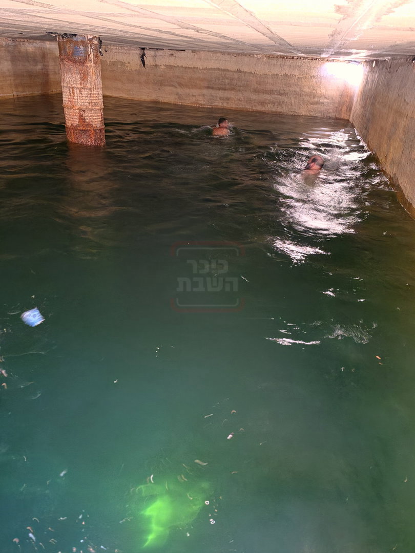 ישראל שפירא בבור הנפילים/דוד ואחיקם
